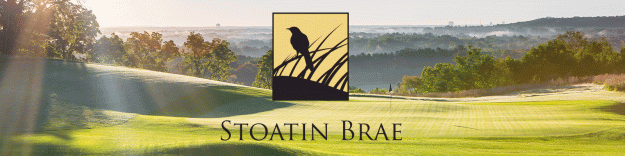 Stoatin Brae
